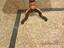 Immagine 3