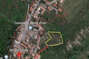 Uliveto