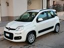 fiat-panda-1-2-69cv-easy-5-posti-2019