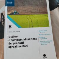 Libro:  Estimo e commercializzazione volume B