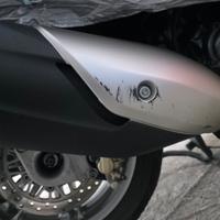 Paracalore Beverly 300