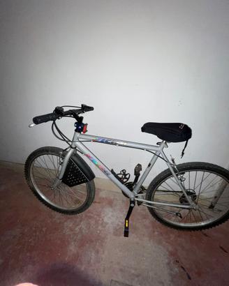 bicicletta montainbike