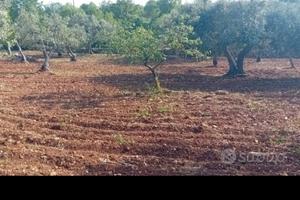 TERRENO varie metrature