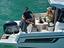 Immagine 7
