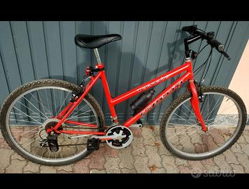 bici ragazzo/uomo del 26