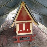 Pollaio trattato con vernice per barche