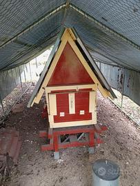 Pollaio trattato con vernice per barche