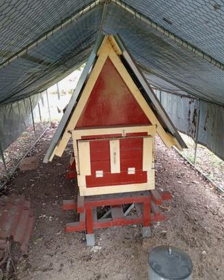 Pollaio trattato con vernice per barche