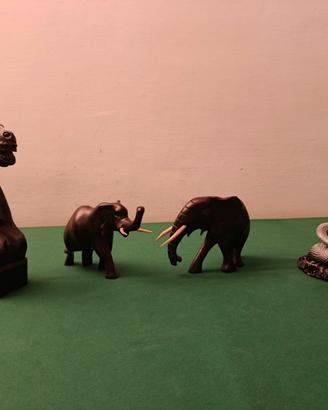 COBRA REALE ELEFANTI AFRICANI TESTA CAVALLO