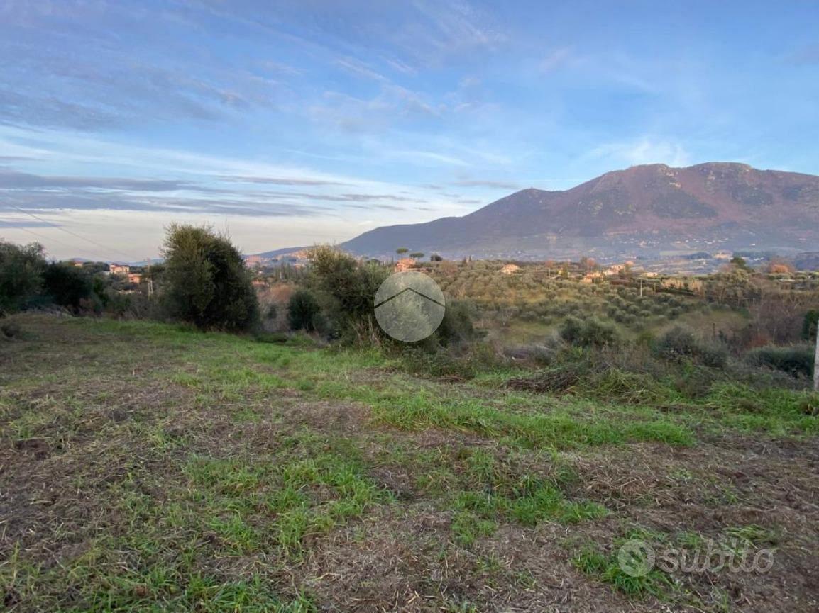 TER. AGRICOLO A PALOMBARA SABINA - Vista 4