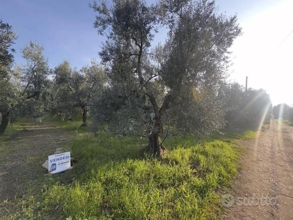 Immobile in asta di 13458 m² a Andria - Vista 2