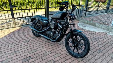 Harley Davidson 883 Iron
