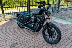 Harley Davidson 883 Iron