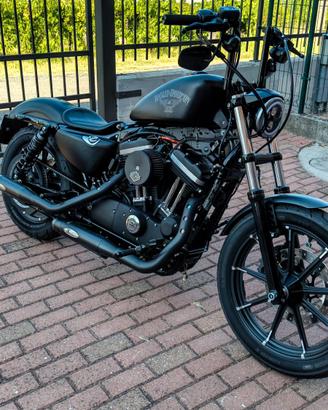 Harley Davidson 883 Iron