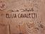 Immagine 5