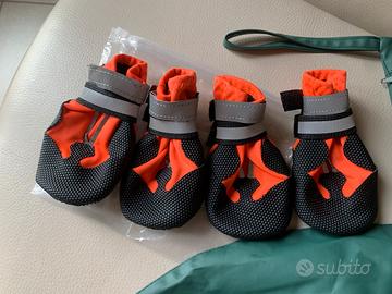 Scarpette e impermeabile per cani