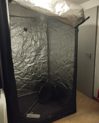 Growbox  120x120 h 200