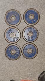 Dischi in ghisa 25 mm