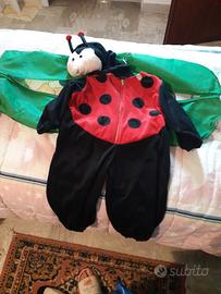 costume carnevale coccinella