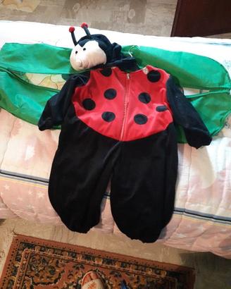 costume carnevale coccinella