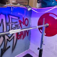 bilanciere olimpionico lacertosus 50 mm 20 kg