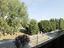 Immagine 14