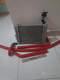 radiatore malossi piaggio zip mk1 