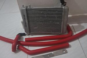 radiatore malossi piaggio zip mk1 