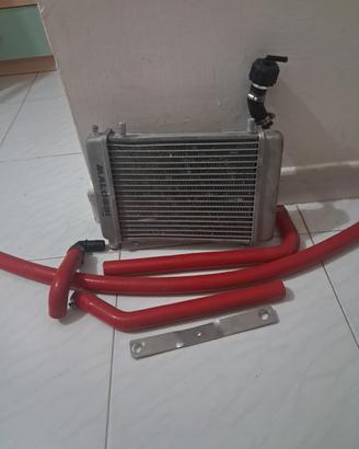 radiatore malossi piaggio zip mk1 