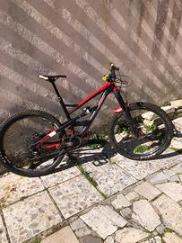 Yt industries capra mtb enduro downhill