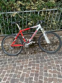 Bici adulto