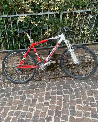 Bici adulto