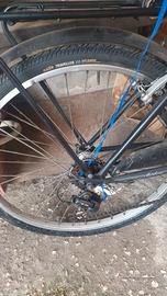 Bici Regina
