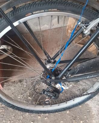 Bici Regina
