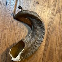 Shofar corno di montone
