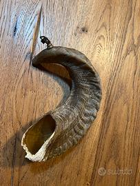 Shofar corno di montone