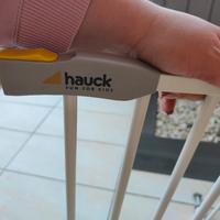 cancelletto a pressione 