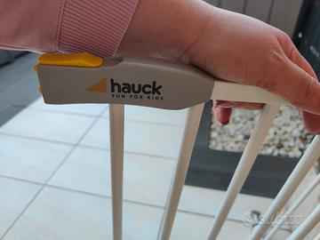 cancelletto a pressione 