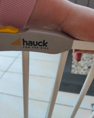 cancelletto a pressione 