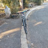 bici  mtb lombardo 
