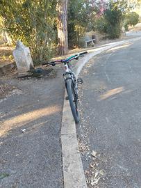 bici  mtb lombardo 