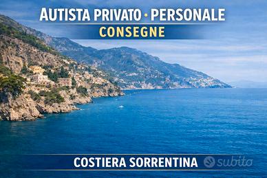 Autista privato / personale