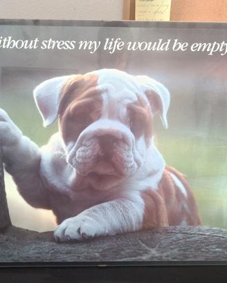 Poster "Without stress my Life would be empty"