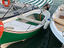 Immagine 6