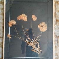 Quadro con composizione di fiori secchi