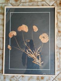 Quadro con composizione di fiori secchi