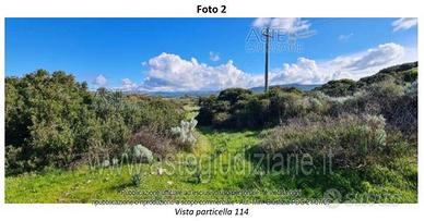 Terreno Agricolo Fordongianus [A4352448]