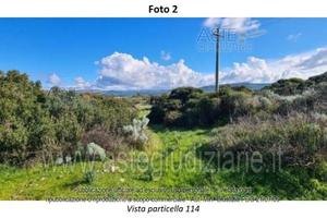 Terreno Agricolo Fordongianus [A4352448]