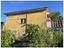 Immagine 7