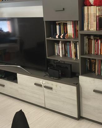 Mobile tv